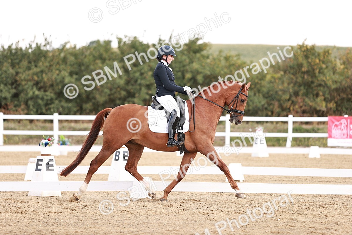 SBM_017676 - Class 11 - Advanced Medium 6