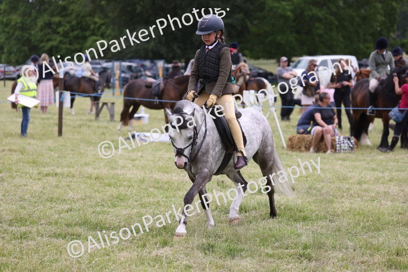 20260614-3136 - Class 22 - Open Working Hunter