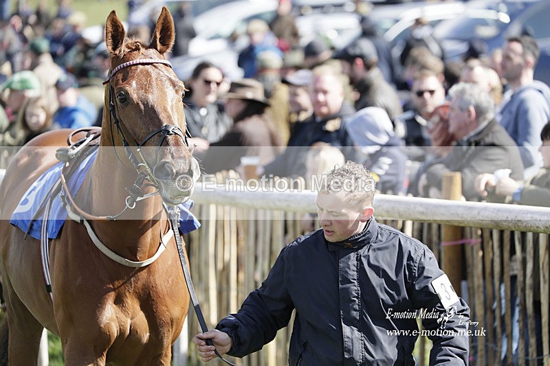 PtP 100423 470 - Old Berkshire Point-to-Point Lockinge 10/04/23