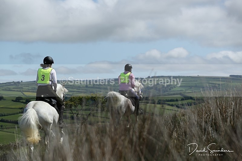 SPXX0294 - Y3