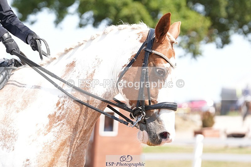 250817-123153-09090 - 161-Isabel.LawsonIn.the.pink