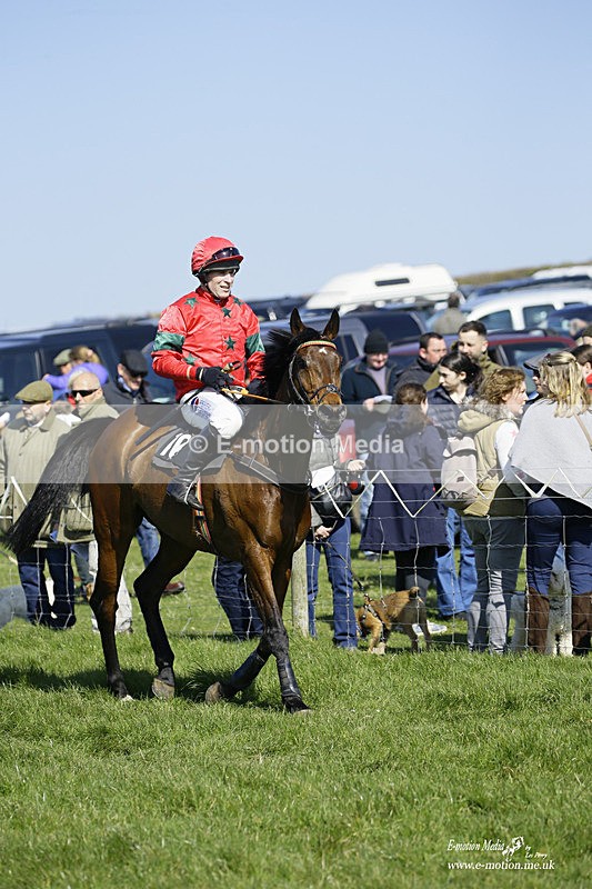PtP 190322 321 - Wilton Hunt PtP Milborne St Andrew 19/03/22