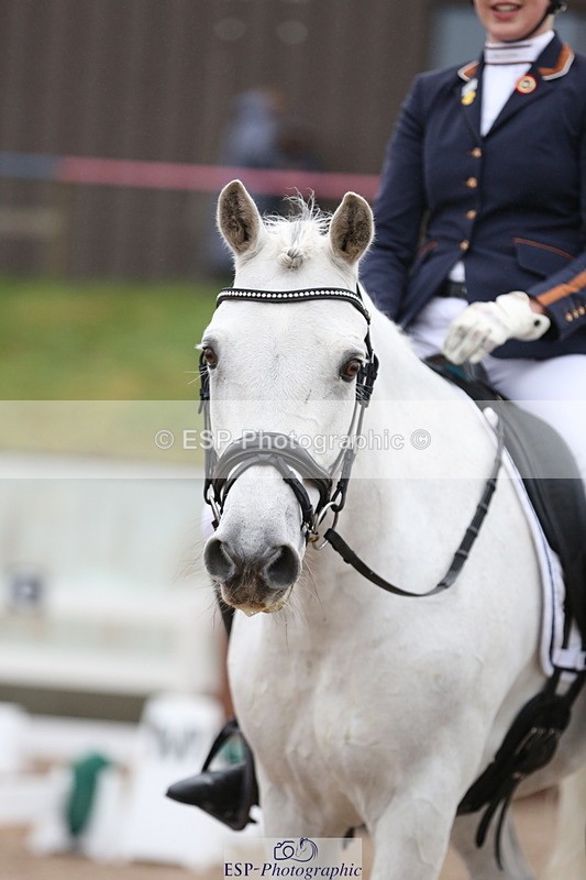 240217A-090542-00187 - 196-Anya.Hitt-Cnoc.an.noinin.Clover