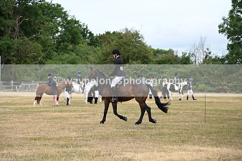 WJ6_3969 - Class 9 Tack & Turnout