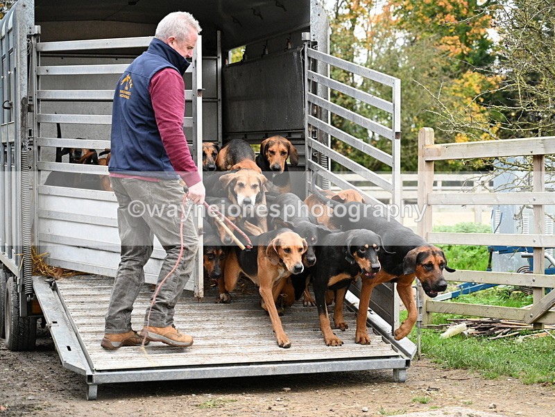 WJ7_5913 - Berks & Bucks - Children's Meet - The Old Farmhouse – Steventon.
