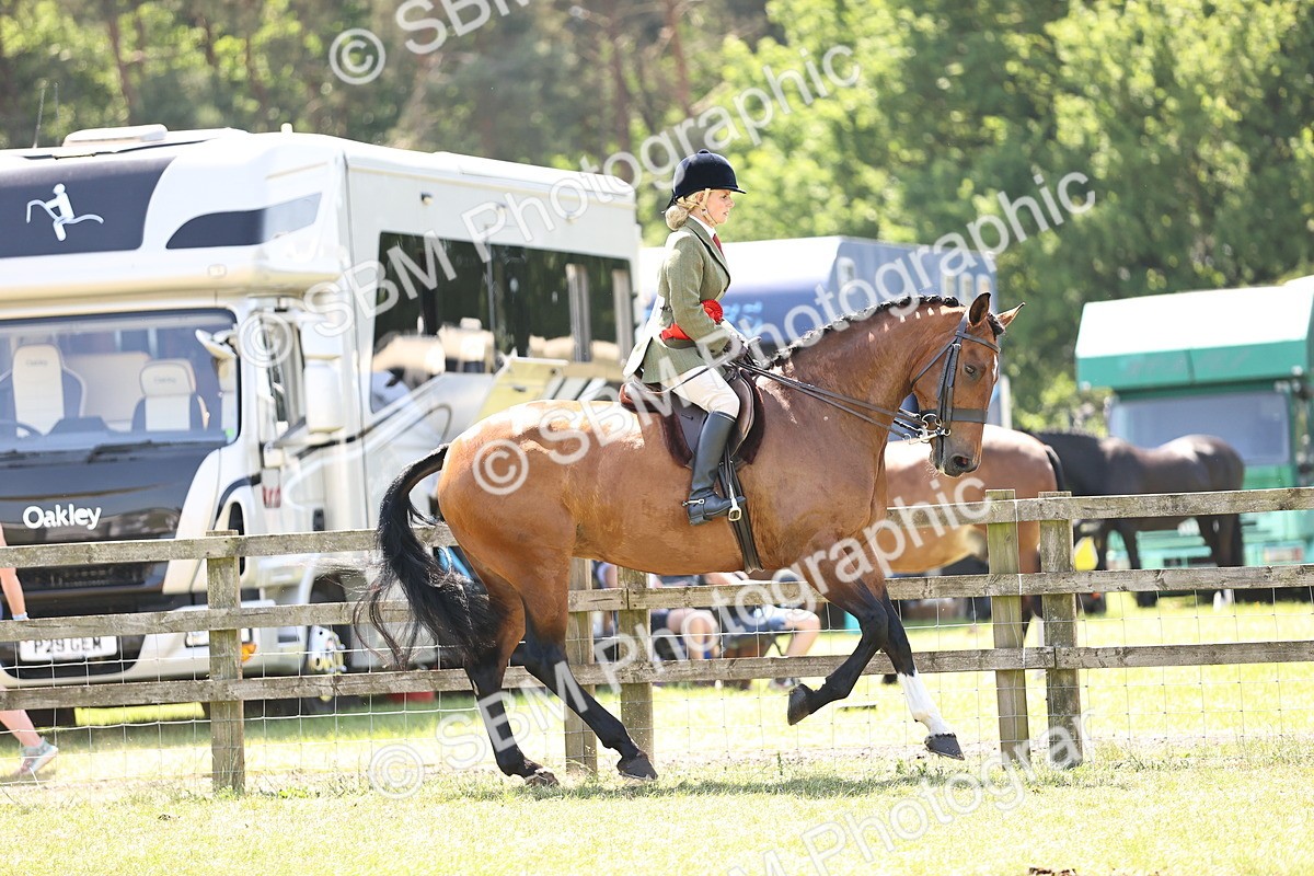 SBM_16224 - Class 79-80 - LIHS BSHA Rising Star Ridden Hunter