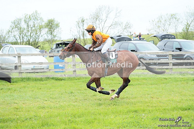 PtP 040526 828 - Mollington Point-to-Point 04/05/26