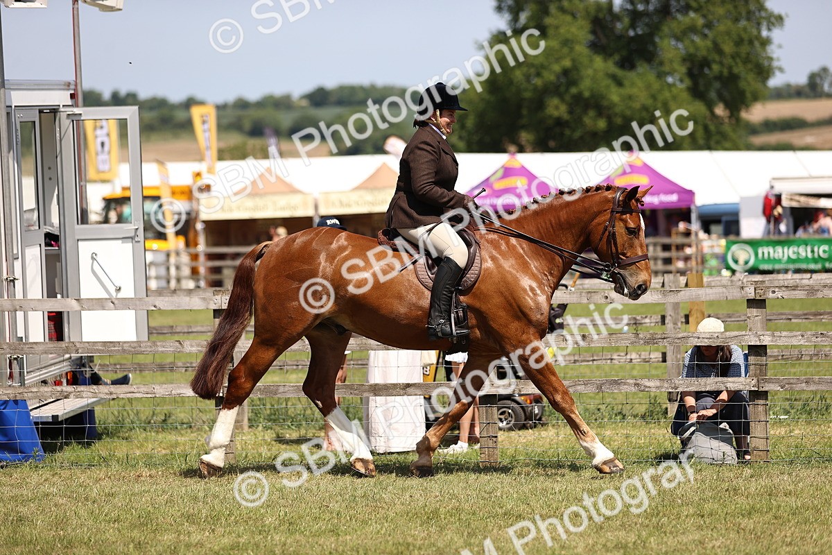 SBM_17693 - Class 81-83 - TSR Ridden Amateur of the Year - Horses