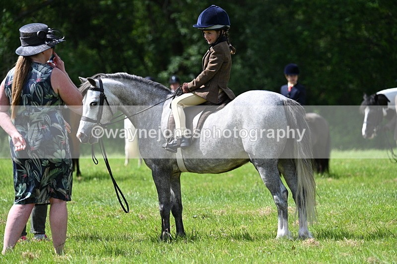 WJ7_1497 - Class 11 Condition & Turnout