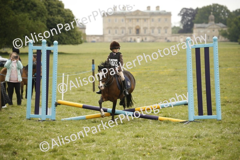 20250517-0722 - Class 2 - 30cm Off Lead Rein