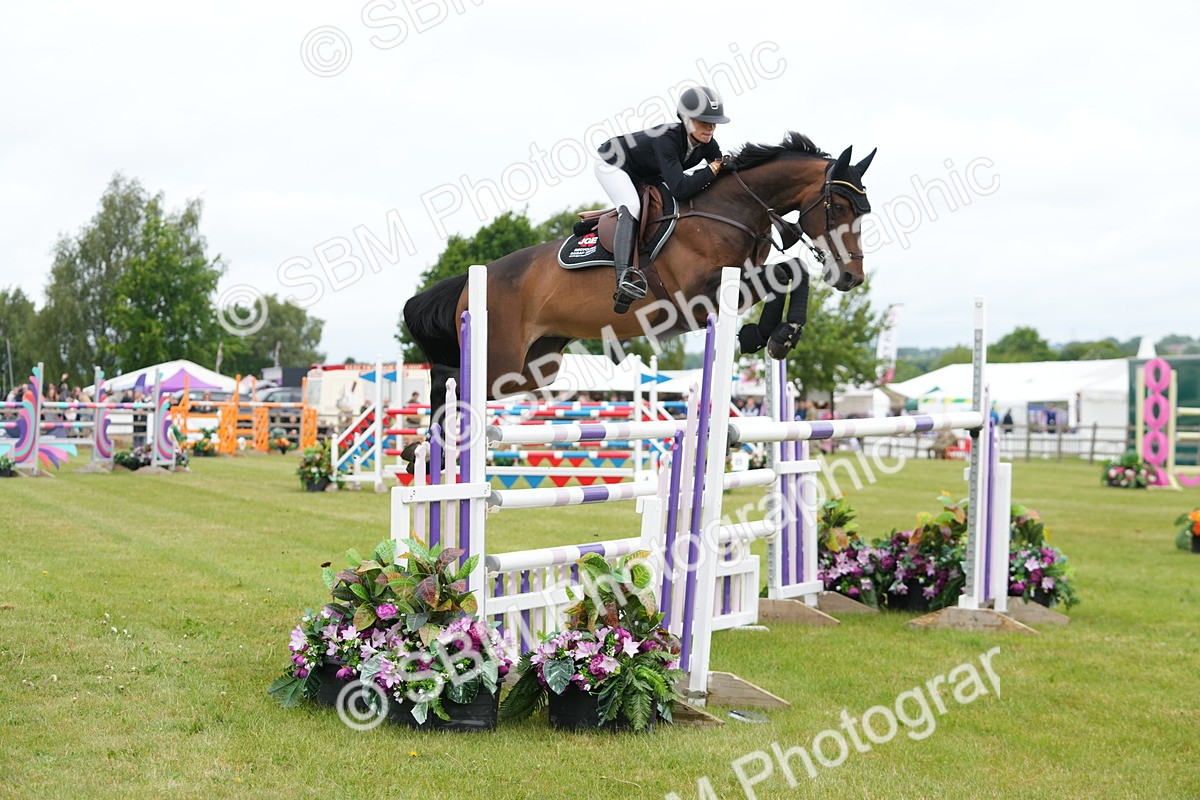 SBM_03087 - Class 201 - British Horse Feeds Speedi Beet Horse of the Year Show Grade  C