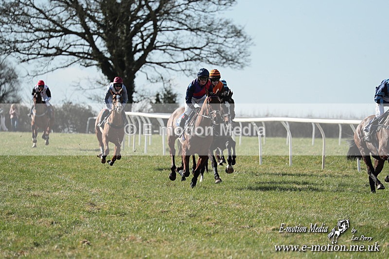 PtP 010325 66 - Beaufort Races Didmarton 01/03/25