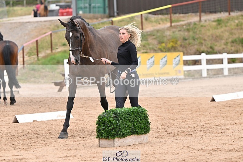 250716-160113-02343 - Trot Up 3.30 to 4.30