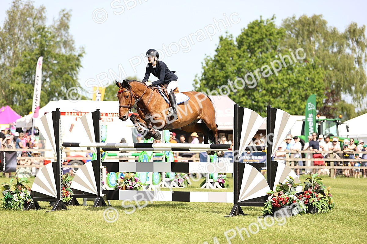 SBM_03119 - Class 201 - British Horse Feedds Speedi Beet HOYS Grade C