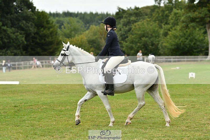 250820A-121715-05538 - 12 to 13.00