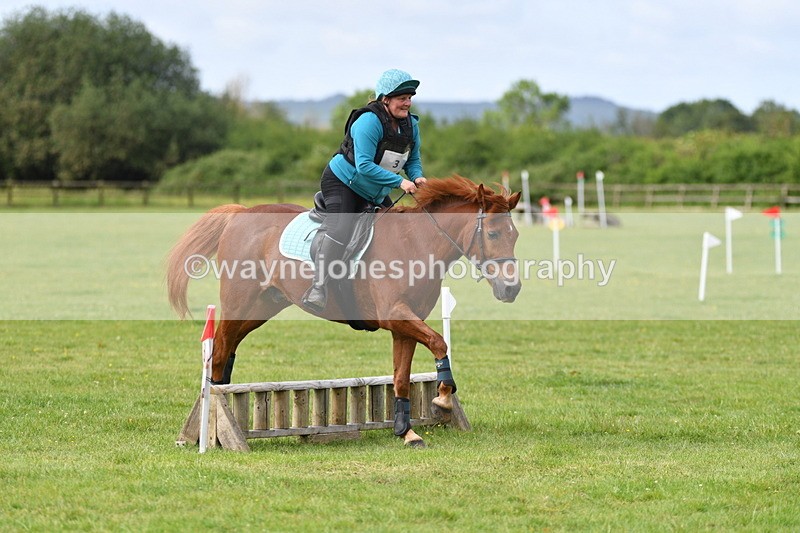 WJ5_2305 - Class 2 40cm