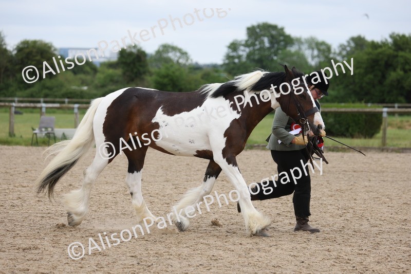 20250524-1089 - Championship