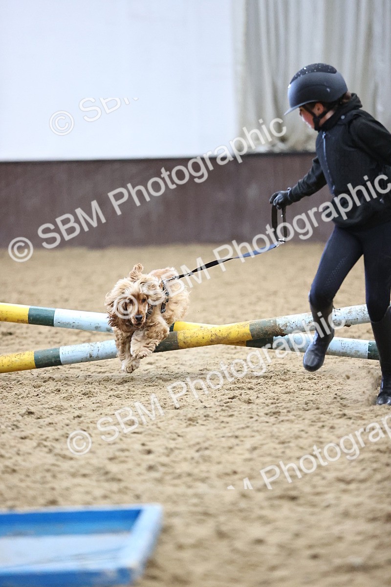 SBM_001412 - Class 3 - Horse & Hound 60cm