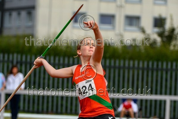 Age25SUN-929353 - Field Male