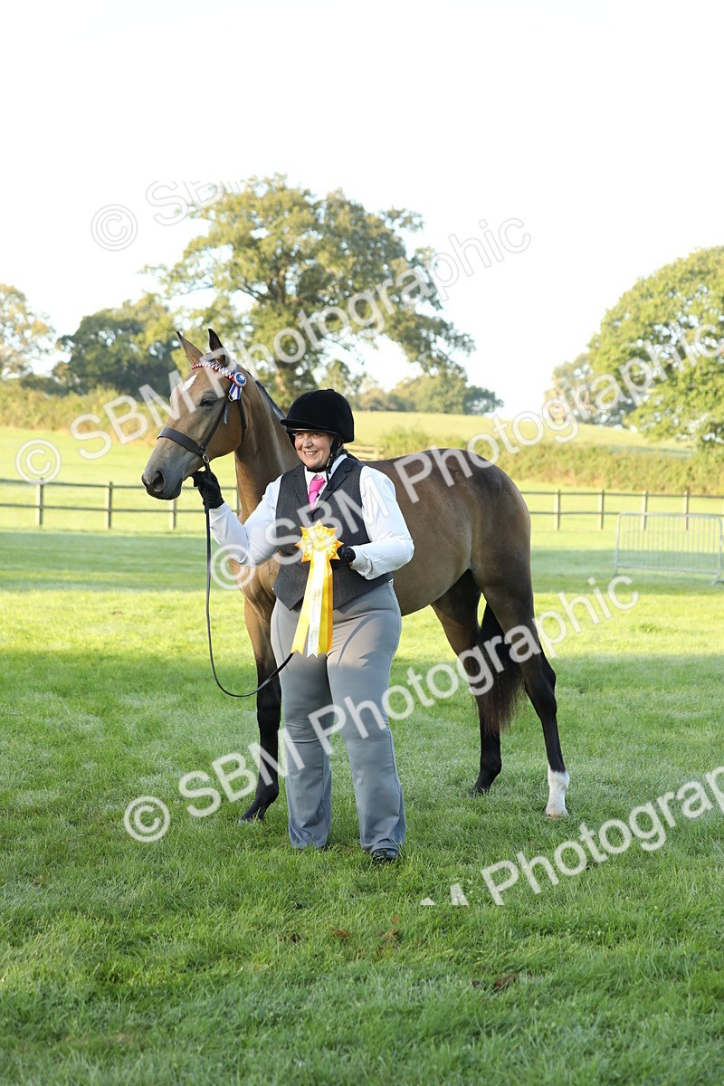 SBM_57895 - S42 - Youngstock