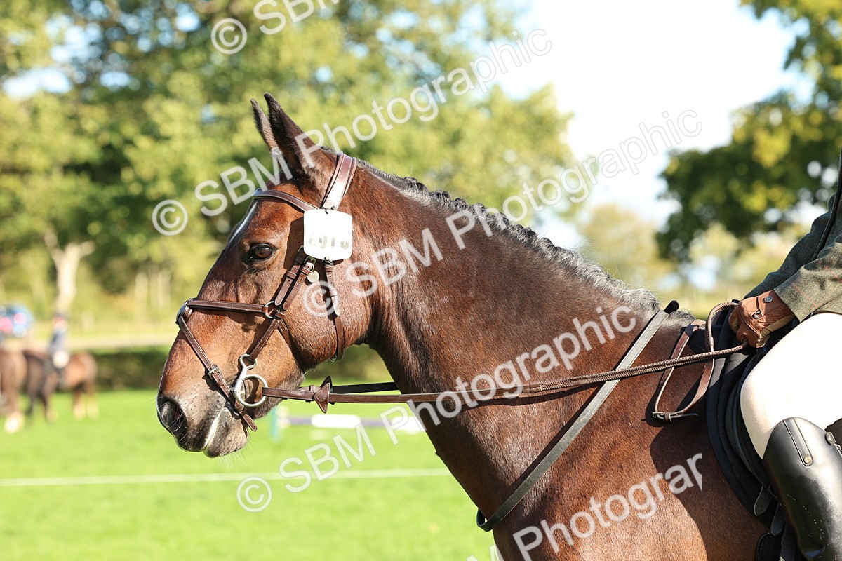SBM_50131 - S34 - Novice & Newcomers Working Hunter