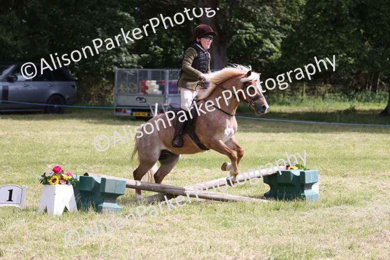 20260614-0741 - Class 20 - Beginners Working Hunter Pony