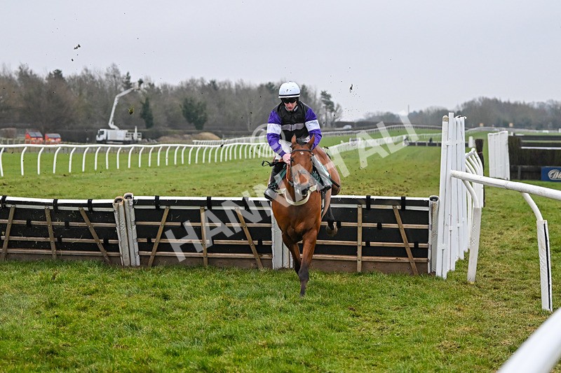 310125-Race 7-Balcomie Breeze-5971 - Race 7