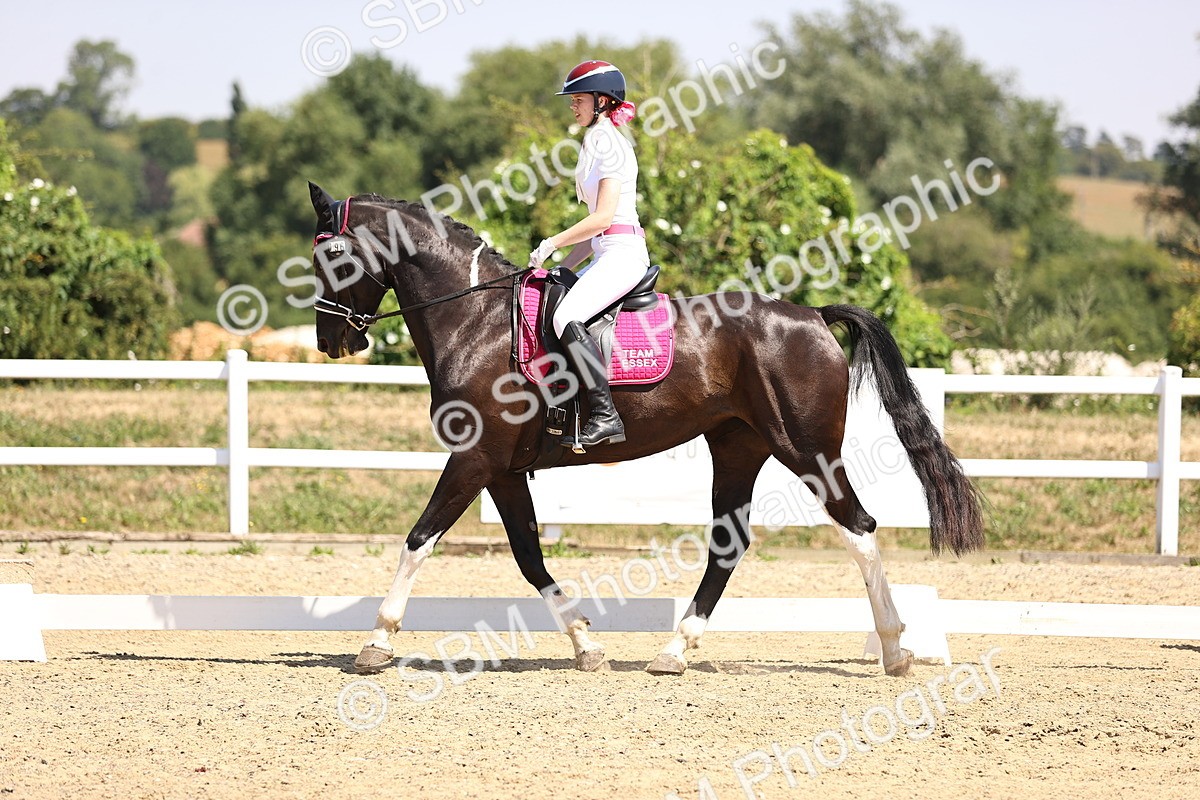SBM_004050 - Intro 2