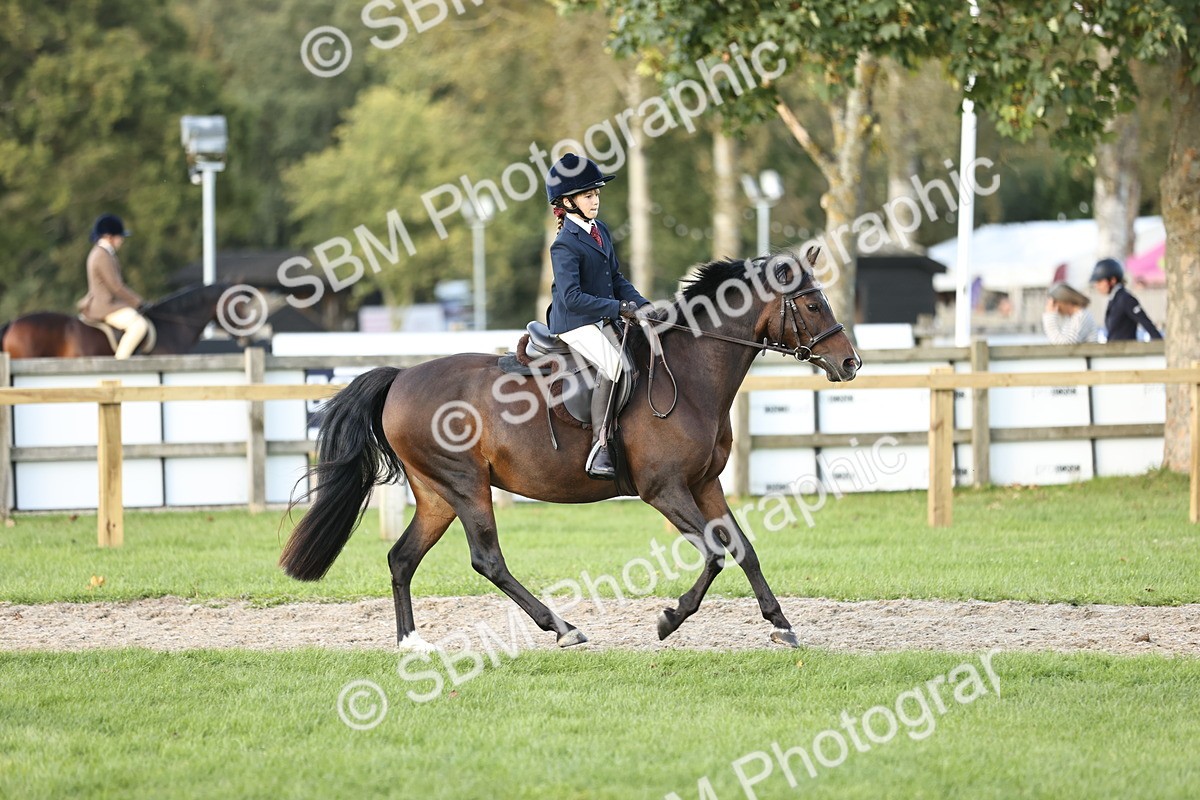 SBM_29469 - S7 - Novice & Newcomers Ridden Pony