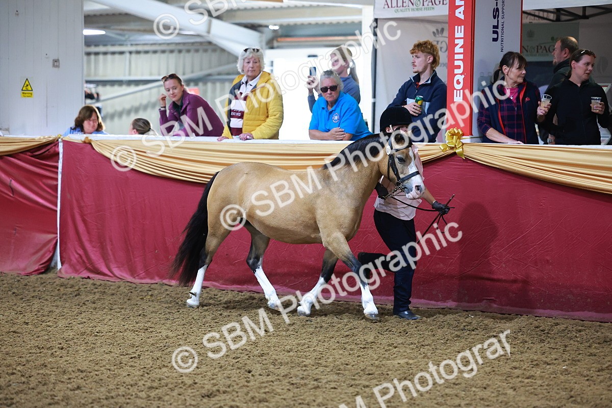 SBM_14732 - Class C - Novelty champ