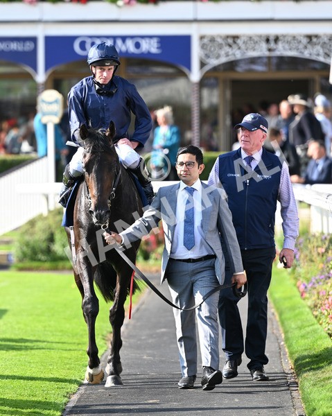 220825-253 Frescobaldi - Race 6 4.45pm British Stallion Studs EBF Convivial Maiden Stakes
