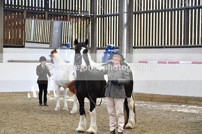 WJ5_5116 - Class 7 In hand coloured / odd coloured