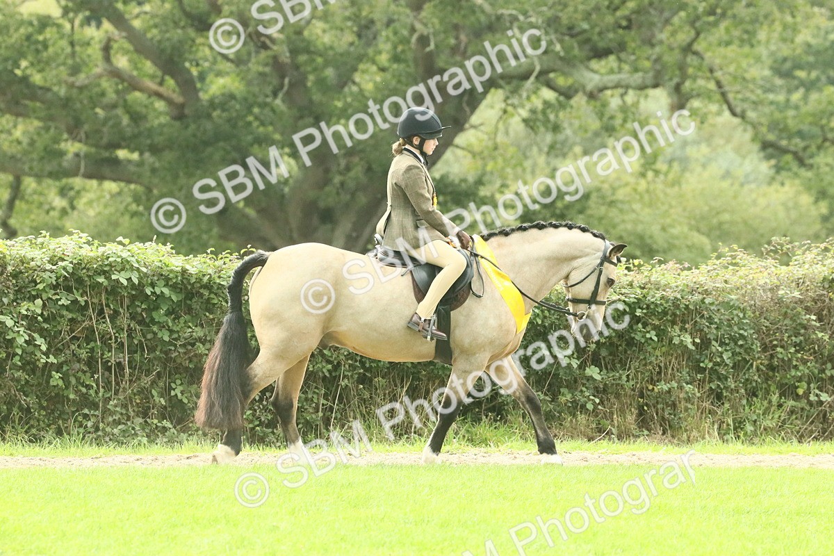 SBM_74160 - Ridden Pony Supreme Championship