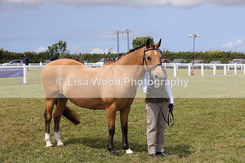 1X9A4902 - Class 35: Veteran In Hand