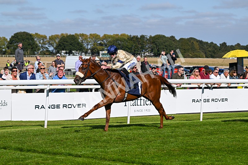 180924-Race 2-American Style-3969 - Race 2