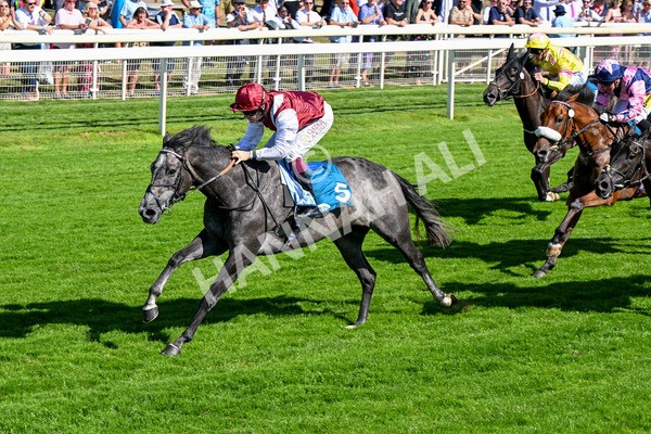 110725-Race 5-Mahras Love-0428 - Race 5 4.32pm Laura Barry Memorial Handicap