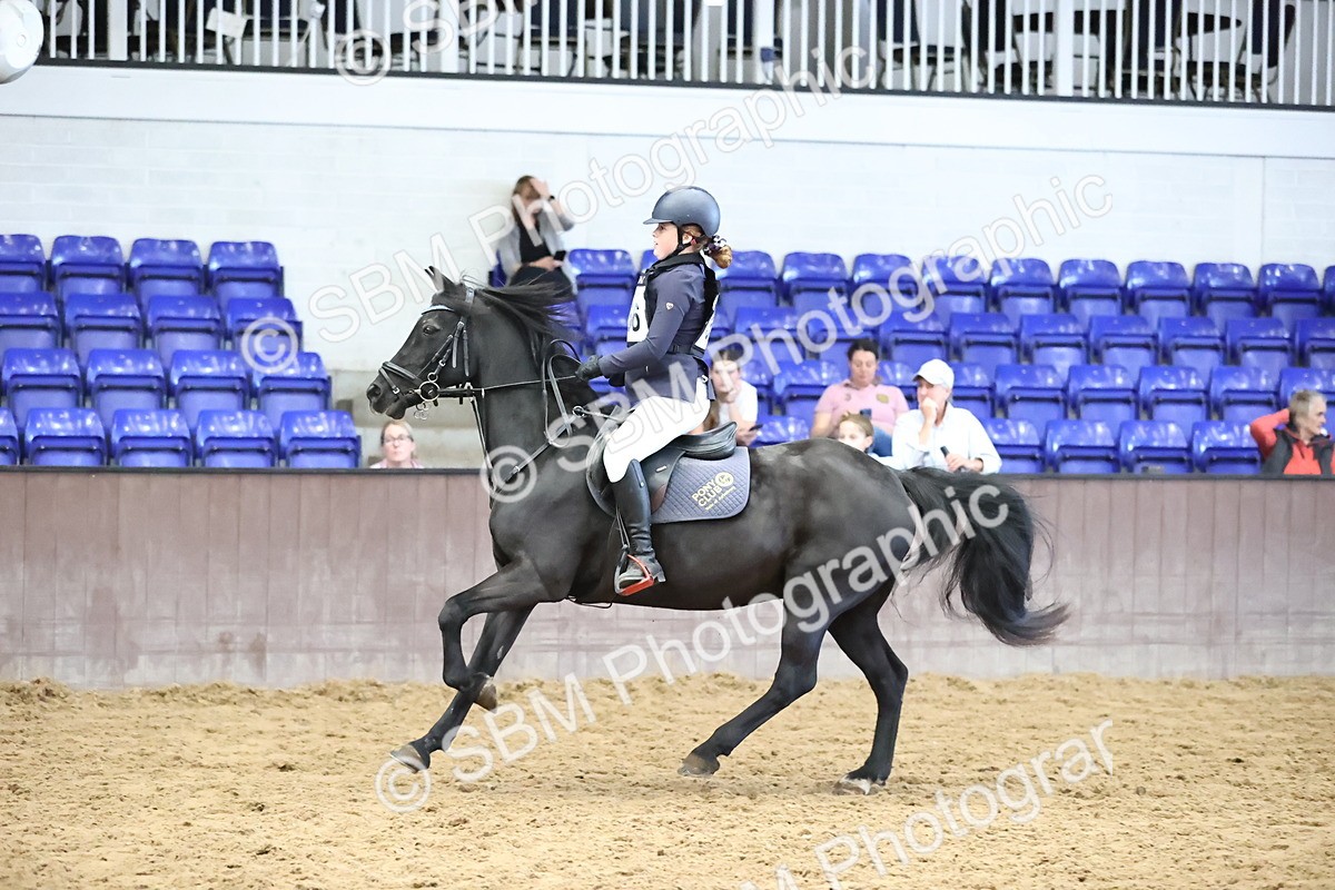 SBM_002354 - Class 6 - Mida Civil Engineering Ltd 80cm Area 12 Championship Qualifier