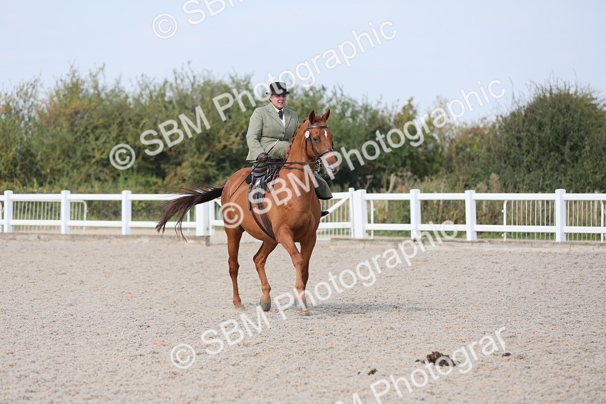 SBM_14550 - Class 211 Best Side Saddle Horse/Pony
