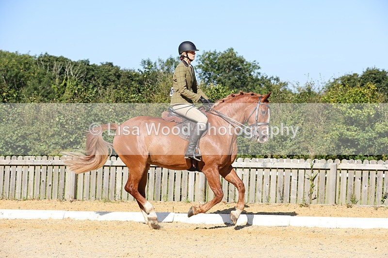 1X9A7753 - Class 9: Open Ridden Hunter