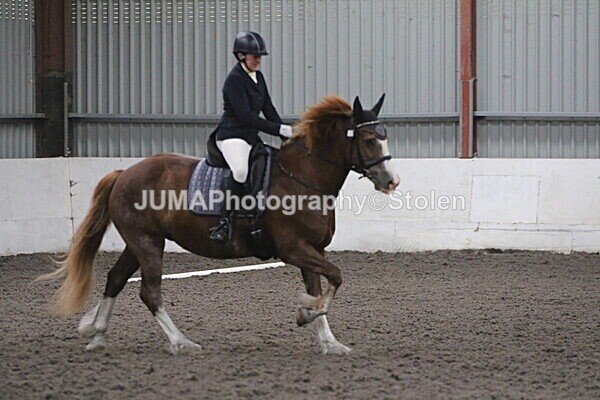 SIAL5642 - CAbin Dressage 5th july 2025
