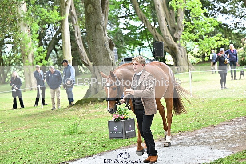 250521A-144841-00257 - A-062-Finn.Healy-GREANNANSTOWN.MONBEG.JOE