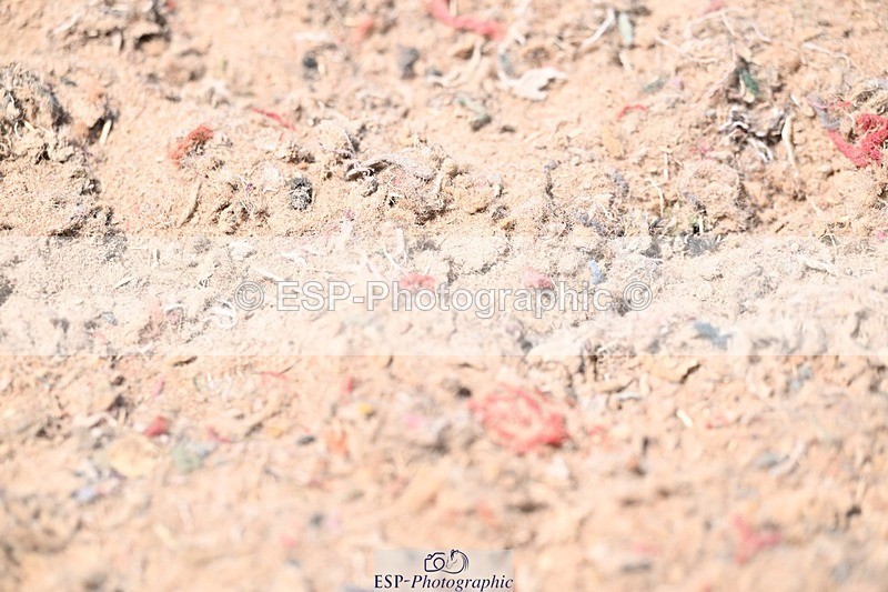 250620-140913-03597 - BD Cls 17 - FEI PSG