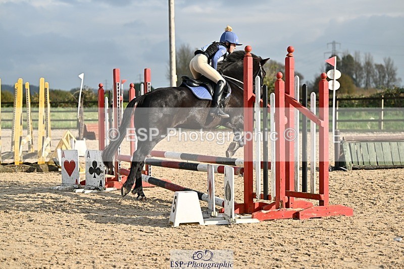 241110-132034-00811 - 60-65cm Arena Eventing