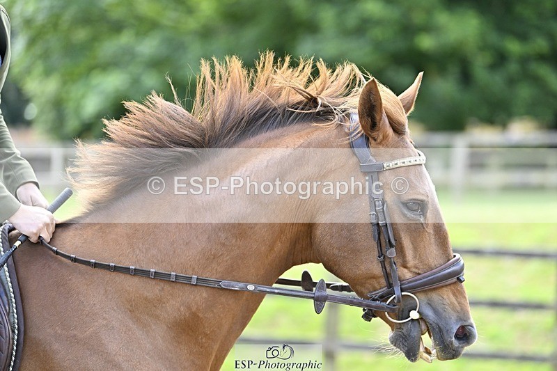 240710-111904-22334 - Cls 106 British Novice and 90cm Open