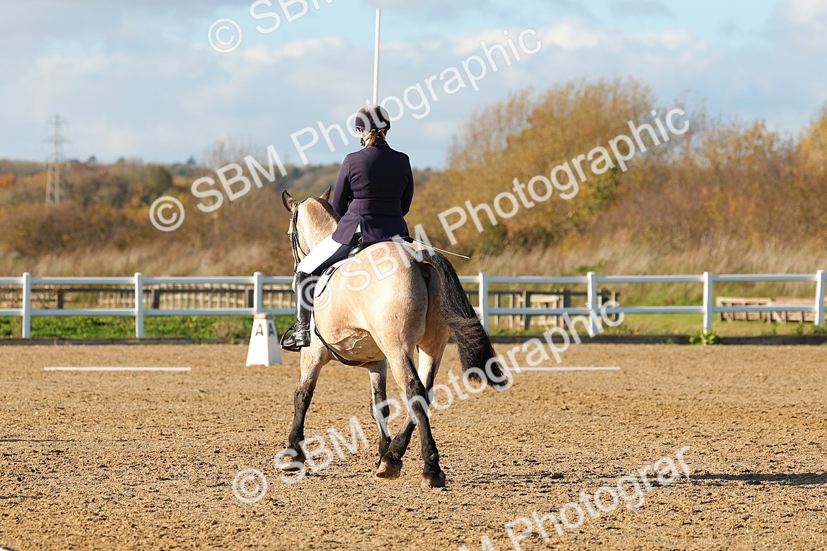 SBM_001549 - Medium 3