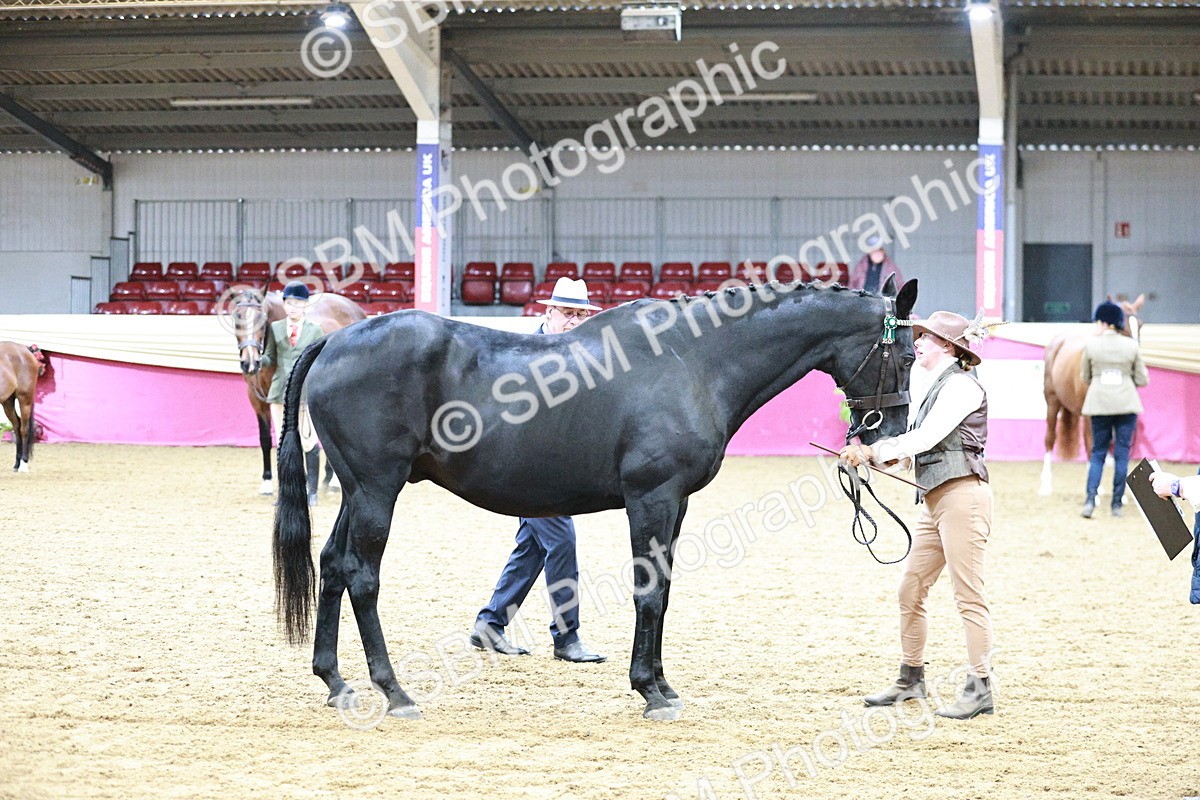 SBM_00275 - Class 1A - Area IH Diamond