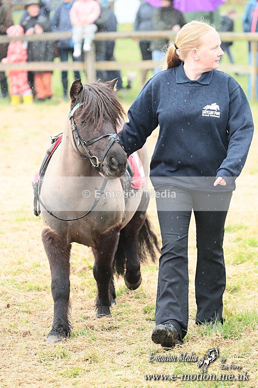 SHETPR 210425 28 - Shetland Ponies Paxford Races 21/04/25