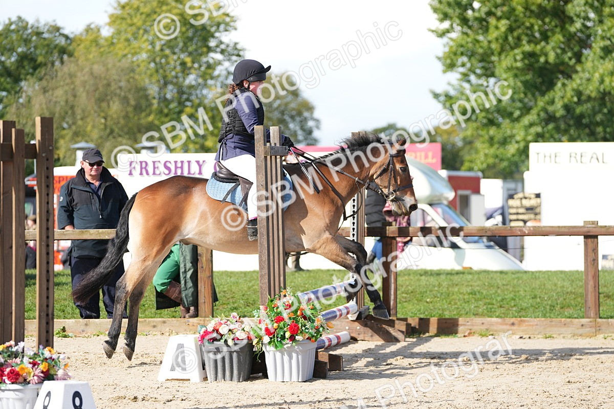 SBM_38230 - J6 - Junior Pony 55cm Championship