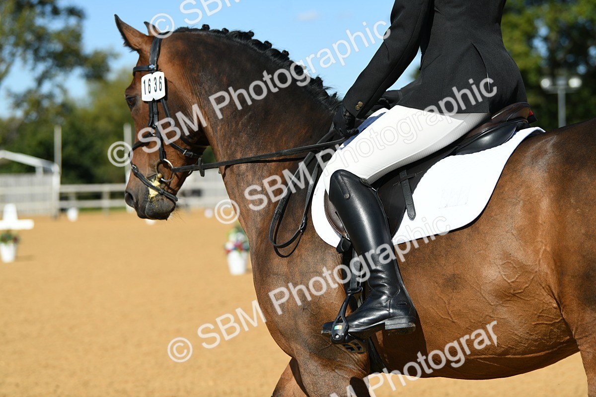 SBM_24847 - D13 - Grand Tour Championship - Prelim 12