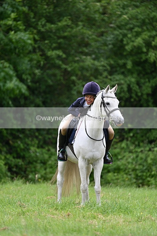 WJ7_3752 - Class 14A Handsome Gelding